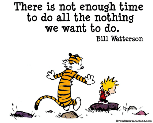 Calvin and Hobbes quote: There is not enough time to do all the nothing we want to do. - Bill Watterson